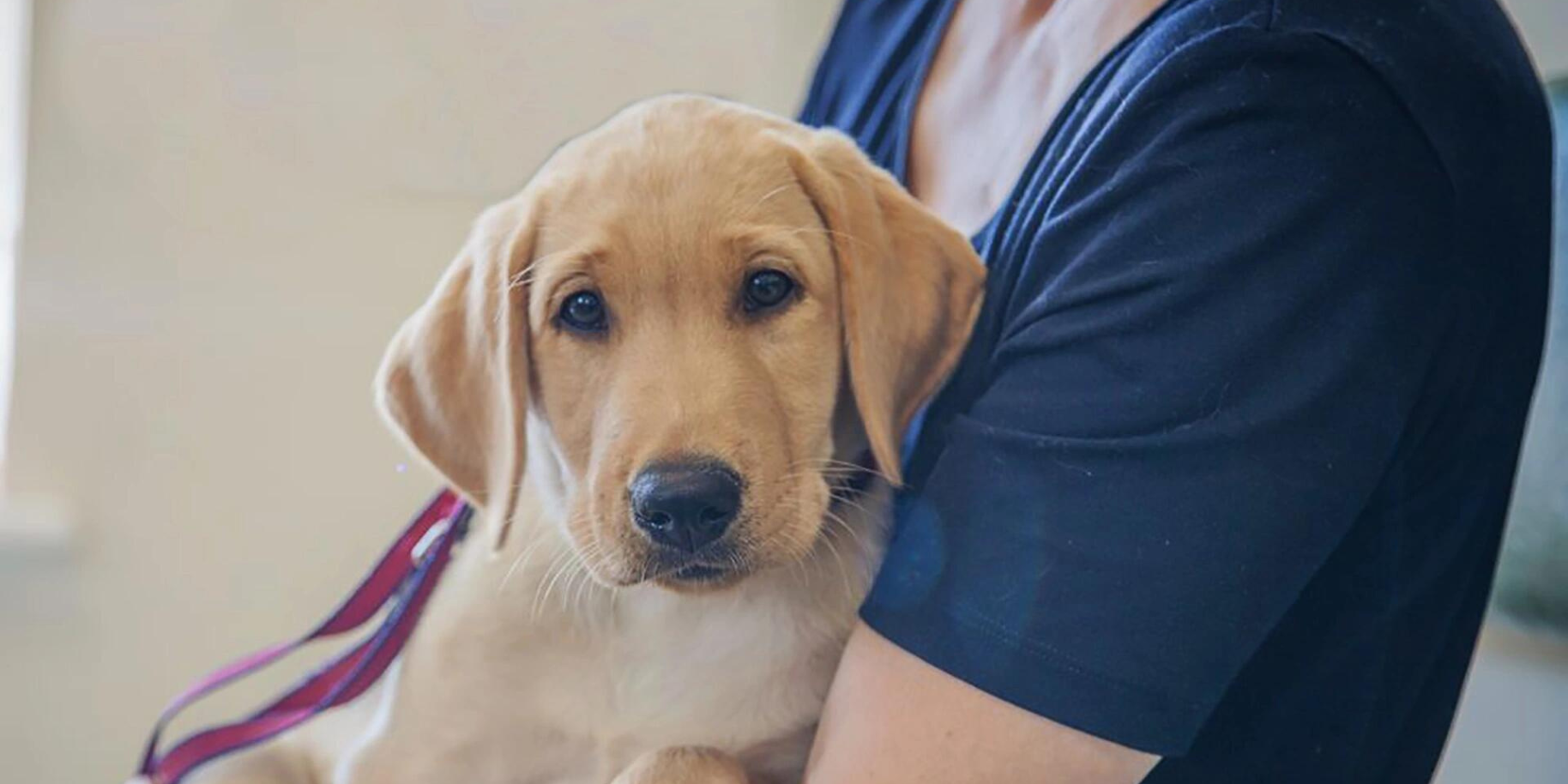 Teaserbild Tierarztpraxis Dr. Martin Haas